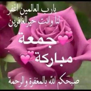 Meet your Posher, Sofia